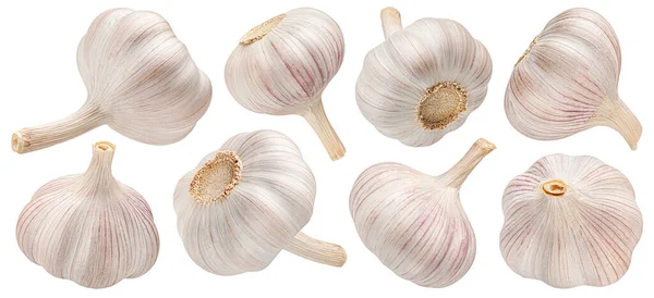 stock image Garlic isolated on white background with clipping path, collection