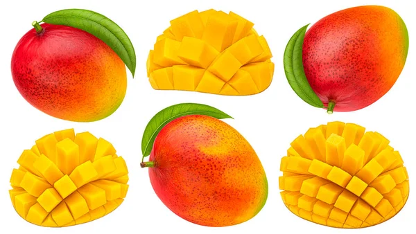 Frutti Mango Isolati Fondo Bianco Con Percorso Ritaglio Raccolta — Foto Stock