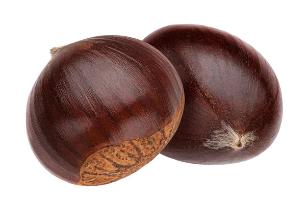 Chestnuts Isolated White Background Clipping Path — Stock Photo, Image