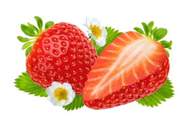 Strawberry with leaves and flowers isolated on white background with clipping path clipart