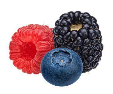 Yaban mersini, ahududu ve böğürtlen kesme yolu ile beyaz arka planda izole