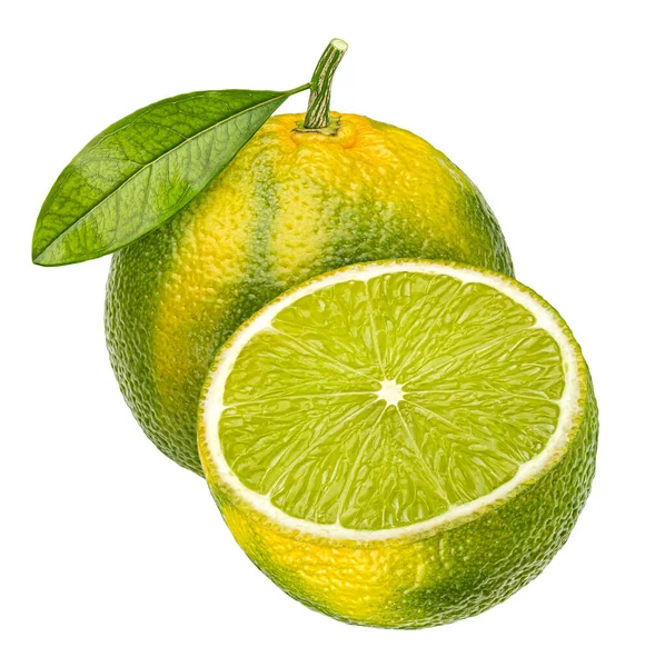 Lime Isolated White Background Clipping Path — Stock Photo, Image