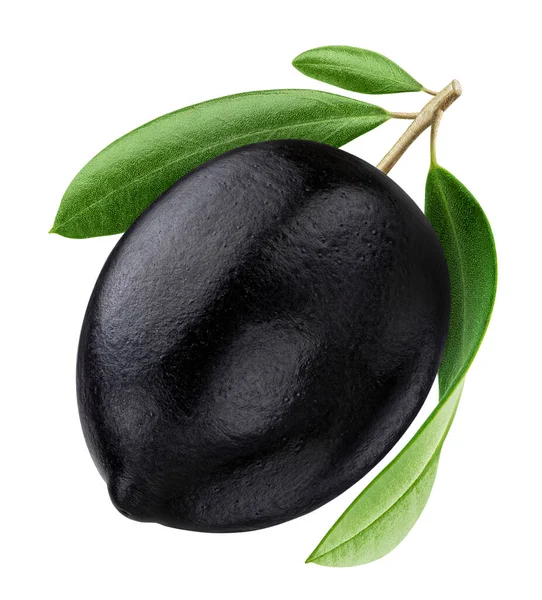 Один Чорний Оливковий Ізольований Білому Тлі Відсічним Контуром — стокове фото