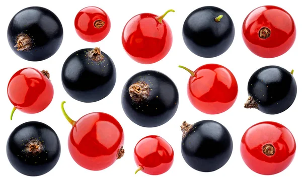 Svarta Och Röda Vinbär Isolerade Vit Bakgrund Med Klippning Väg — Stockfoto
