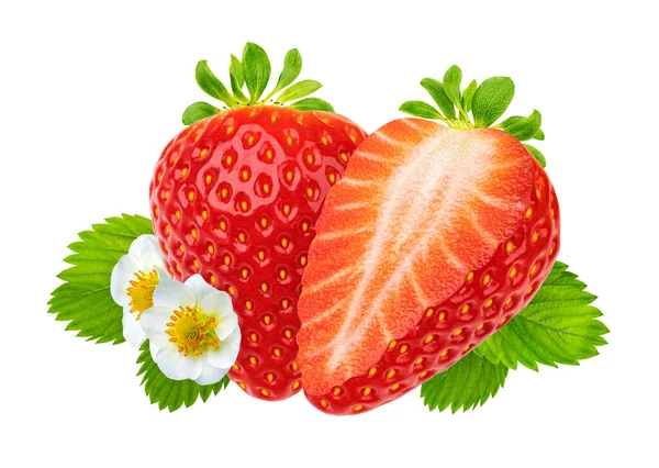 Strawberry Leaves Flowers Isolated White Background Clipping Path — Stock Photo, Image
