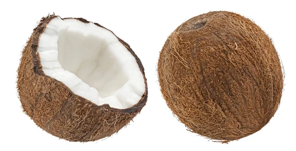 Coconut Isolated White Background Clipping Path Full Depth Field — Stock Photo, Image