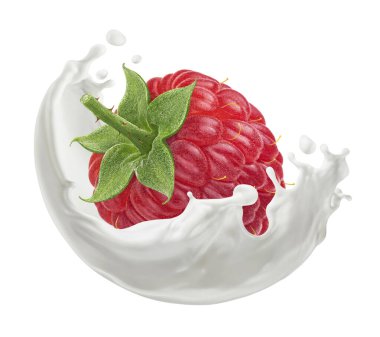 Süt sıçramalı bir ahududu beyaz arka planda kırpma yolu ile izole edilmiş