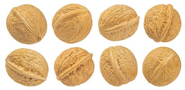 Kırpma yolu ve koleksiyonu olan tüm cevizler beyaz arkaplanda izole edildi