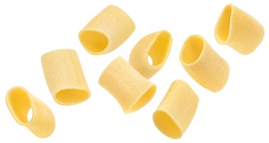 İtalyan Paccheri makarnası kesme yolu ile beyaz zemin üzerinde izole edilmiş, tam alan derinliği