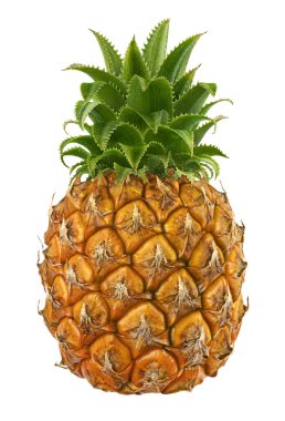 Küçük, olgun, sarı bir ananas, yaprakları beyaz arka planda, kırpma yolu ile izole edilmiş.