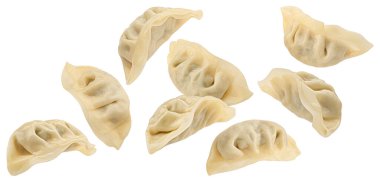 Çin Gyoza hamur köfteleri kesme yolu ile beyaz arkaplanda izole edilmiş, tam derinlik
