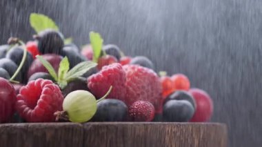 Bir yığın farklı orman böğürtleninin üzerindeki su buğusu, metnin için yeri olan siyah arka plan.