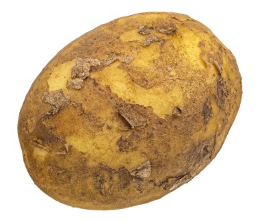 Kırpma yolu ile beyaz arka planda izole bir erken patates