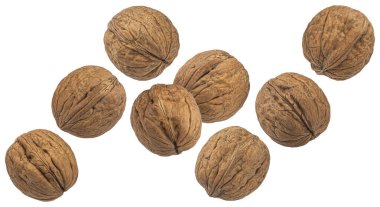 Kırpma yolu ile beyaz arkaplanda izole edilmiş cevizler, paket tasarım ögesi