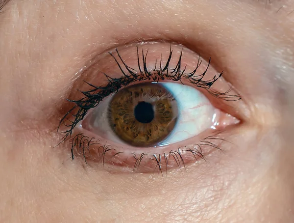 Woman's eye is brown with large black eyelashes. Eye makeup. Close-up.