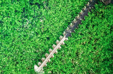 Metal bahçe makası otomatik olarak yeşil otlağı budar.