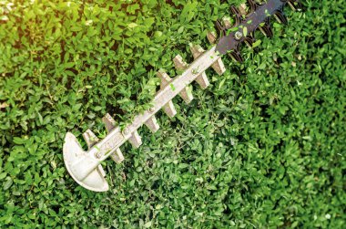 Metal bahçe makası otomatik olarak yeşil otlağı budar.