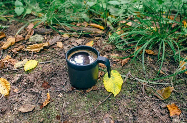 Τουριστική Κούπα Του Καφέ Στο Δάσος Μεταξύ Των Φύλλων Στο — Φωτογραφία Αρχείου