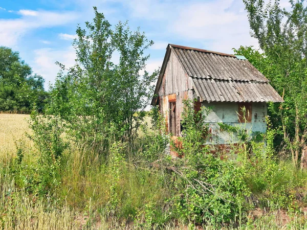 Primitive Abandoned House Wheat Field — Stock Photo, Image