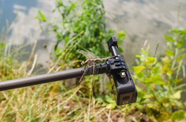 Yusufçuk doğadaki üç ayaklı aksiyon kamerasına oturur. Doğanın aksiyon kamerası çekiliyor. İlginç böcekler.