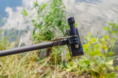 Yusufçuk doğadaki üç ayaklı aksiyon kamerasına oturur. Doğanın aksiyon kamerası çekiliyor. İlginç böcekler.