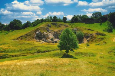 Yeşil ağaç kayanın yakınındaki bir vadide yetişiyor.