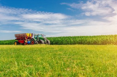 Yeşil mısır tarlasında traktör tohumu. Mekaniklerle dolu parlak yaz tarım manzarası.
