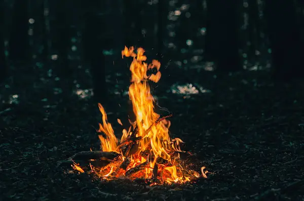 Контрастная Фотография Яркого Огня Фоне Темных Деревьев Костер Лесу — стоковое фото