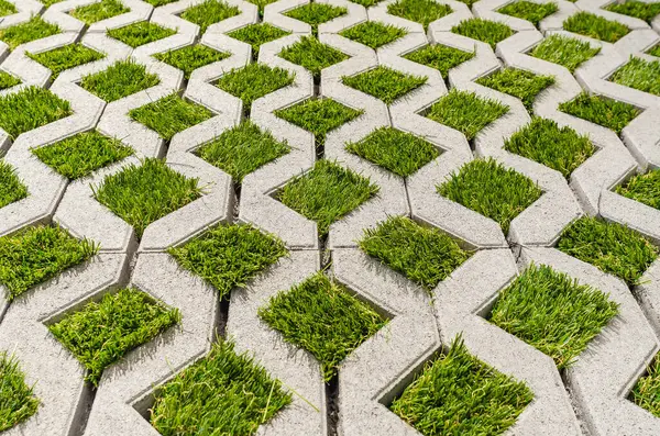 Cobblestone with grass for parking vehicles. Parking with cobblestones and grass
