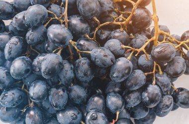 Mavi üzümlere yakın çekim. Yaz hasadı, şarap yapımı, sağlıklı yiyecekler..