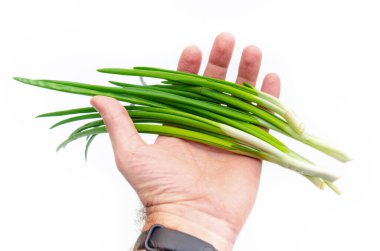 Erkek el yeşil soğan tutuyor, yakın plan. Taze yeşiller birçok vitamin içerir. Erkek diyeti