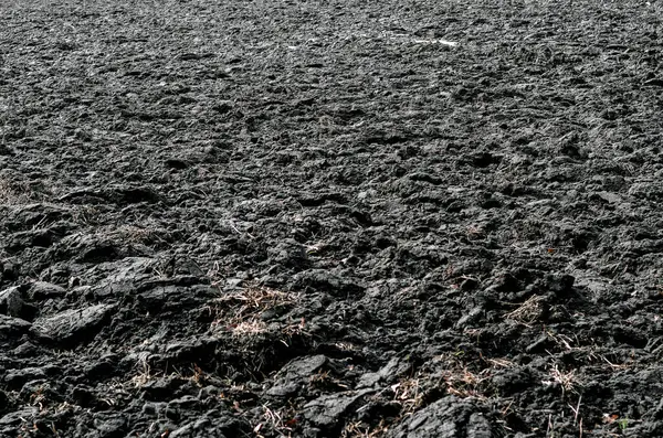 Black arable land plowed in spring. Soil preparation in field for sowing crops