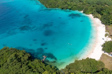 Drone view of sandy beach and green shore near turquoise sea. Tourist settlement. Sanma, Vanuatu clipart