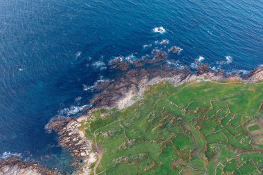 Okyanus kıyısındaki kayalar. Kıyı şeridi, mavi su, yeşil çimen