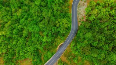 Dağlardaki ormanın en üst manzarası. Doğadaki dalgalı yol.