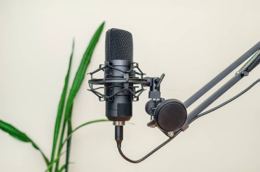 Stüdyo mikrofonu arka planda duruyor.