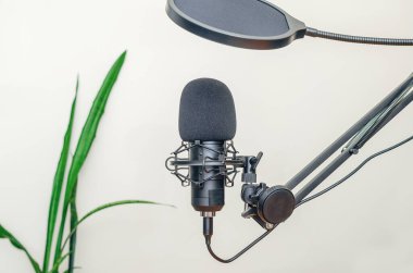 Stüdyo mikrofonu arka planda duruyor.