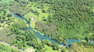 Yeşil tropikal orman manzarası. Tropikal ormandaki nehir. Drone 'un videosu. Turizm. Vanuatu