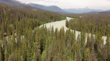 Su baskını sırasında ormandan akan nehir ya da akarsu. İHA uçuşu, dağ nehri