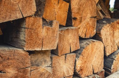 Kesilmiş ahşap kirişler ocağın şöminesini yakmak için istiflenir.