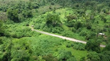 Yeşil tropikal orman manzarası. Tropikal ormandaki nehir. Drone 'un videosu. Turizm. Vanuatu