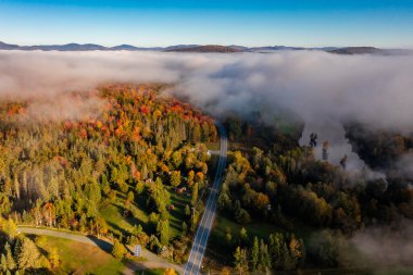 Sonbahar ormanlarında, beyaz sisli bir yol. New Hampshire, Birleşik Devletler. Seyahat, eko-turizm