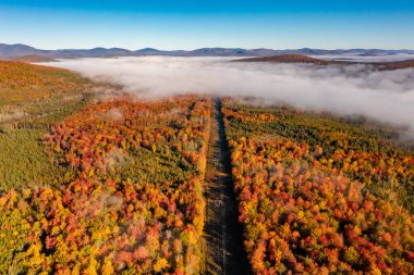 Kabarık beyaz bulutların arasından geçip ormandaki bir yola giden drone fotoğrafı. Sisli sonbahar manzarası