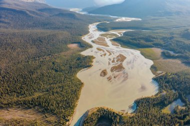 Sel baskınında ormandan akan dağ nehri ya da akarsu. Dağ nehri manzarası