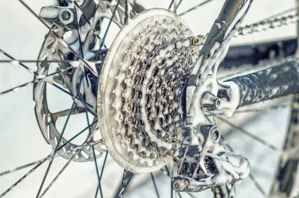 Araba yıkamada büyümüş bisiklet tekerleği, teller, zincir. Köpük jeti ile bisikleti yıkamak. Bakım