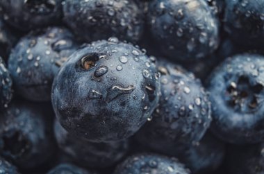 Makro taze yaban mersini arka planı. Mor yaban mersinine kristal su damlası. Seçici odak, bulanık