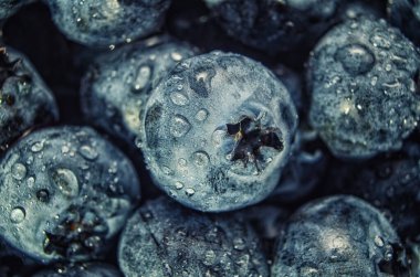 Olgun yaban mersinlerinin su damlalarıyla kaplı yakın plan görüntüsü. Arka planda taze mor yaban mersini