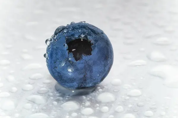 stock image One purple blueberry berry. Isolated on white background. With drops of water. Close up. Top view