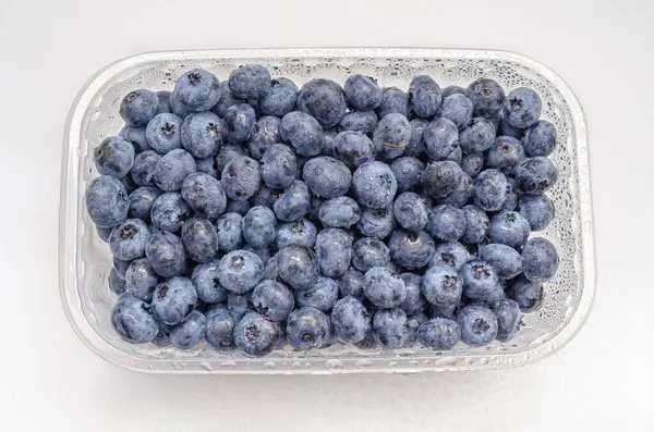 stock image Top view transparent box with fresh blueberries isolated on white. Antioxidants, vitamins, health