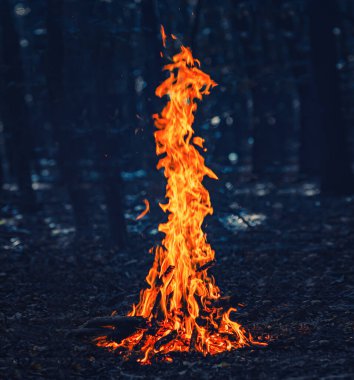 Geceleri ormanda küçük bir yangın. Ormandaki sabanı ateşliyorum.